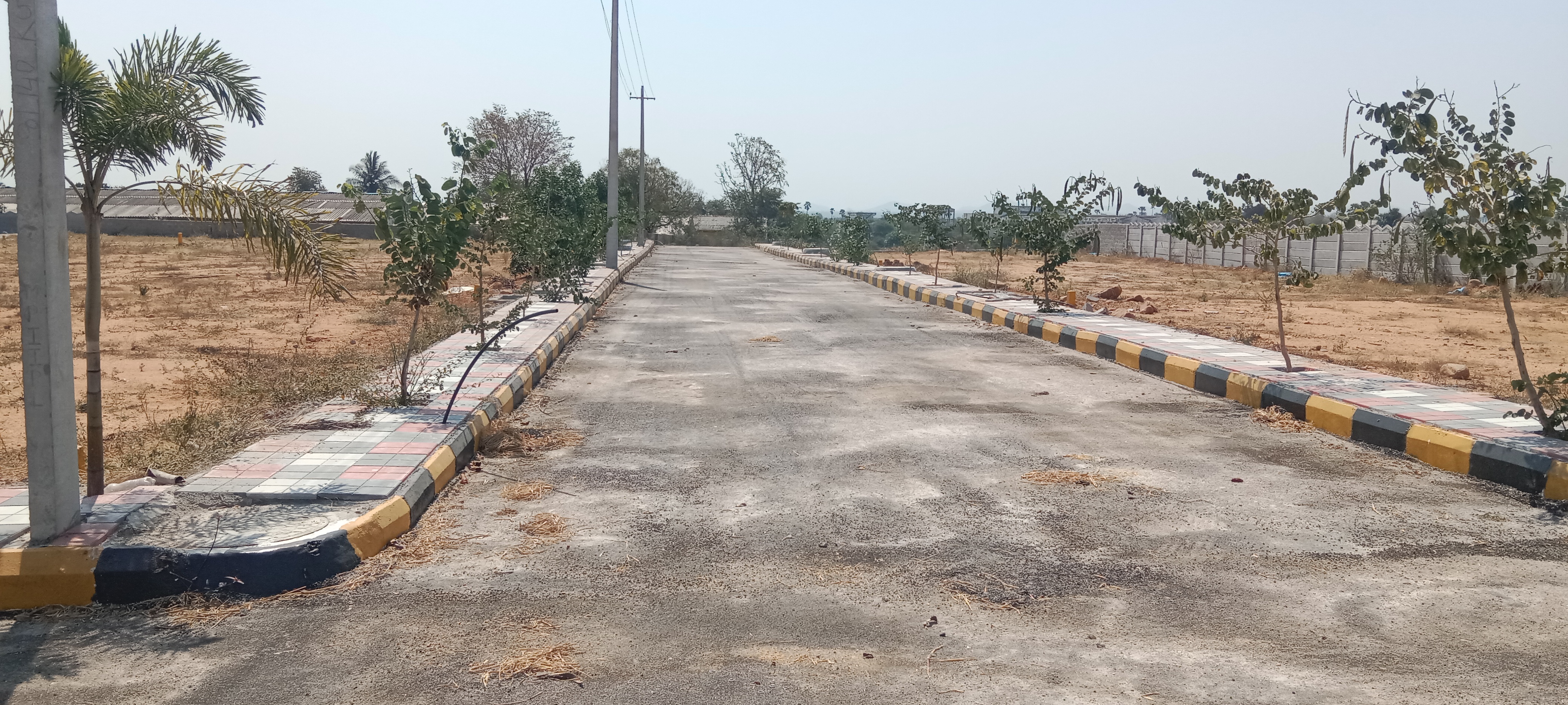 Plot For Resale in Tarnaka Hyderabad  6523798