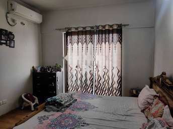2 BHK Apartment For Rent in Paranjape Blue Ridge Hinjewadi Pune  6524515