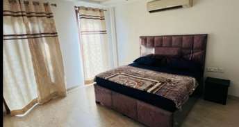 3 BHK Builder Floor For Rent in New Rajinder Nagar Delhi 6524677