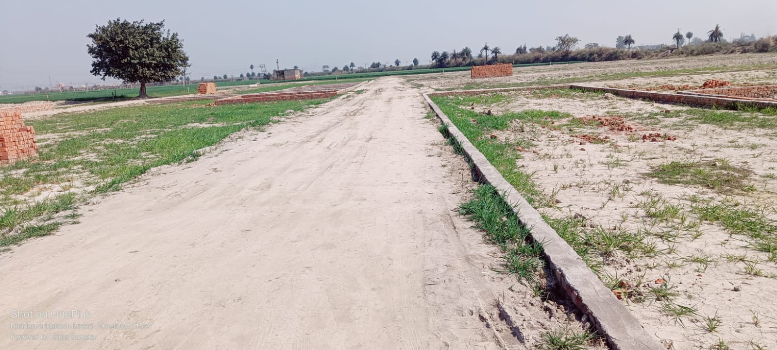 Plot फॉर रीसेल इन Bhopani Village Faridabad  6524721