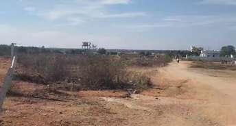  Plot For Resale in Thimmapur Hyderabad 6524932