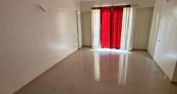 1 BHK Apartment For Rent in Girme Heights Wanowrie Pune 6525200