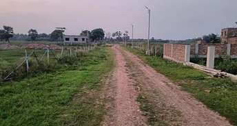  Plot For Resale in Agra Bye Pass Road Agra 6525394