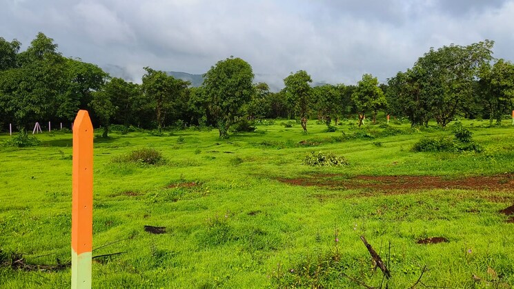 Garden, mangaon  10000 Sq.Ft. Plot In Mangaon Raigad 6525697