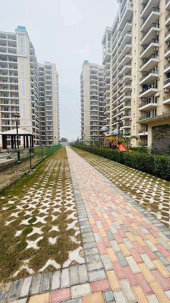 3 BHK Apartment For Resale in Aerocity Mohali  6526475