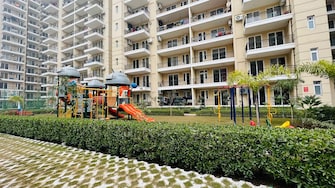 3 BHK Apartment For Resale in Aerocity Mohali  6526475