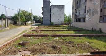 Plot For Resale in Sector 51 Gurgaon 6526502
