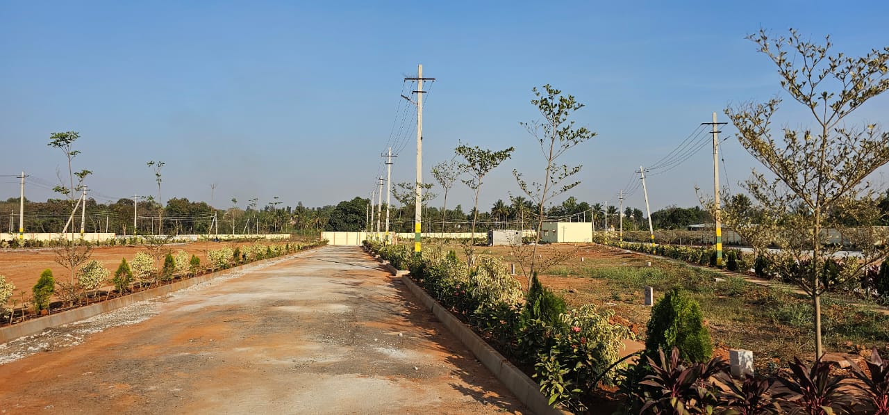 Plot For Resale in Nelamangala Bangalore  6526549