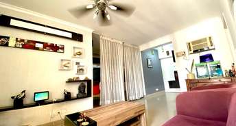 3 BHK Apartment For Resale in Mahima Panorama Jagatpura Jaipur 6526590