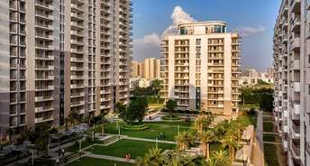 3 BHK Apartment For Resale in DLF Ultima Phase II Sector 81 Gurgaon 6526978