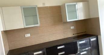 4 BHK Apartment For Rent in Bestech Park View Grand Spa Sector 81 Gurgaon 6527154