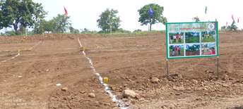  Plot For Resale in Narayankhed Hyderabad 6527375