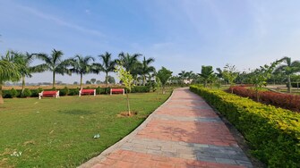 Plot For Resale in Sejbahar Raipur  6527477