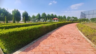 Plot For Resale in Sejbahar Raipur  6527477