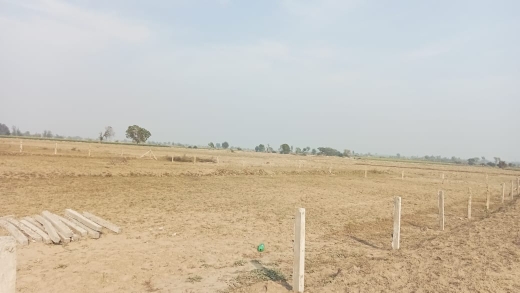 Plot For Resale in Sohna Gurgaon  6527813