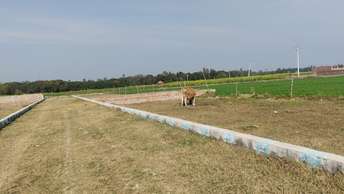  Plot For Resale in Mohan Road Lucknow 6527956