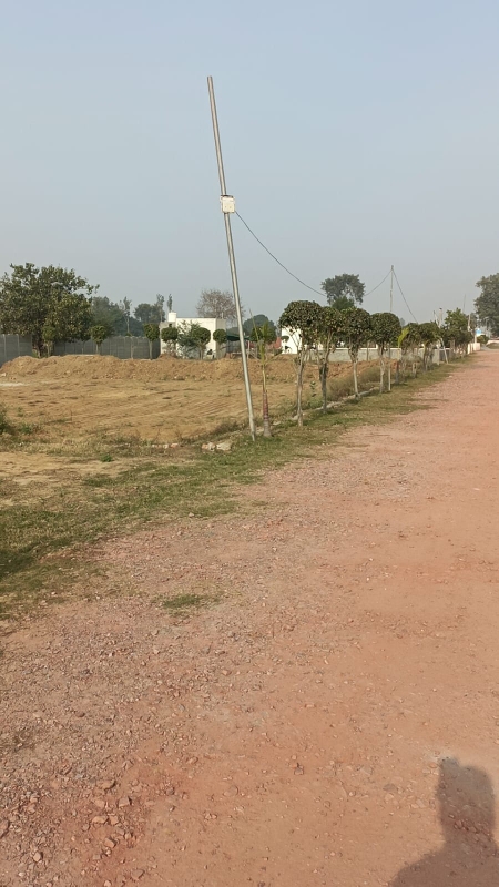 Plot For Resale in Sohna Gurgaon  6527959