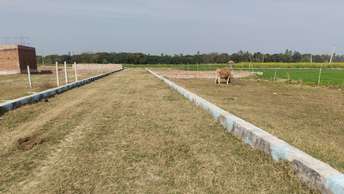  Plot For Resale in Mohan Road Lucknow 6527969