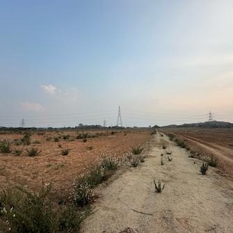 Plot For Resale in Medak Hyderabad  6528338