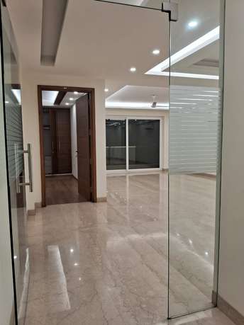 4 BHK Builder Floor For Rent in Panchsheel Park Delhi 6528399
