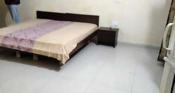 2 BHK Builder Floor For Rent in GMADA Eco City North Mullanpur Chandigarh 6528545