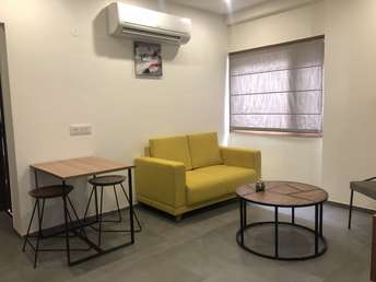 1 BHK Builder Floor For Rent in Dlf Phase ii Gurgaon  6529452