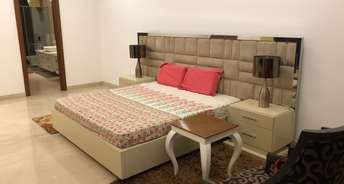 1 BHK Builder Floor For Rent in Dlf Phase I Gurgaon 6529460