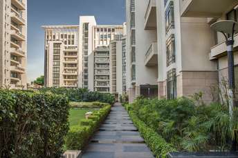 4 BHK Apartment For Rent in Sector 52 Gurgaon 6529686