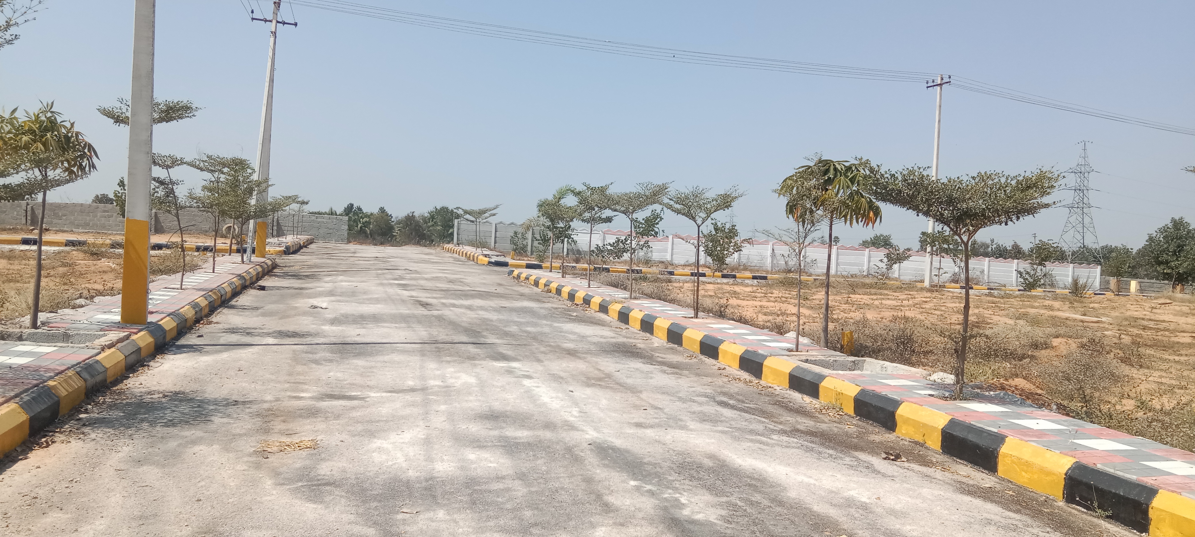 Plot For Resale in Pasumamula Hyderabad  6529768