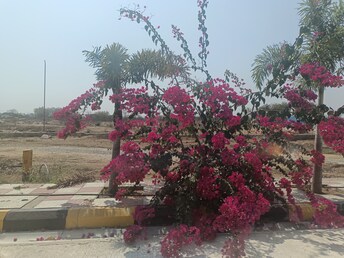 Plot For Resale in Ghatkesar Hyderabad  6529806