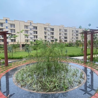 3 BHK Apartment For Resale in Harmony Imperial Apartments Kishanpura Zirakpur  6530682