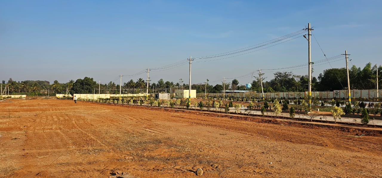  Plot For Resale in Nelamangala Bangalore 6530763