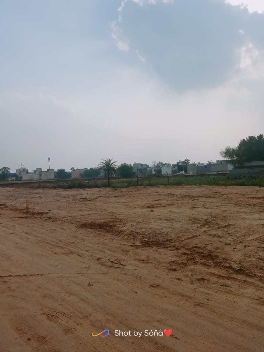  Plot For Resale in Gurgaon Village Gurgaon 6530806