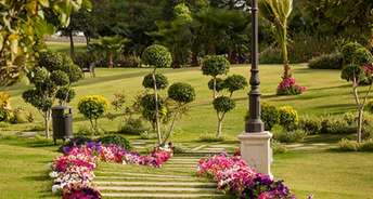  Plot For Resale in Sector 47 Gurgaon 6530828