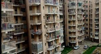 3 BHK Apartment For Resale in Adore Happy Homes Grand Sector 85 Faridabad 6530973