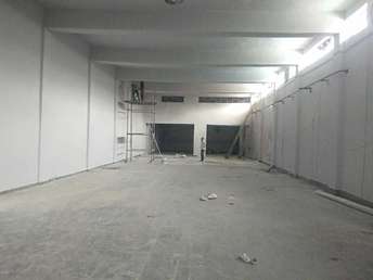 Commercial Warehouse 18000 Sq.Ft. For Rent In Lawrence Road Delhi 6531034