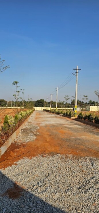 Plot For Resale in Nelamangala Bangalore  6531120