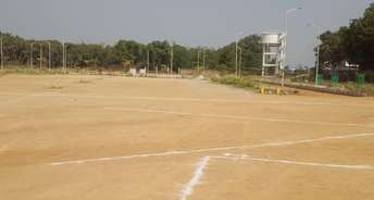  Plot For Resale in Sangareddy Hyderabad 6531281