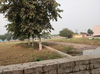 Plot For Resale in Sampada Livia Gn Sector Chi V Greater Noida  6531234