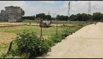 Plot For Resale in Lok Nagar Unnao  6531608