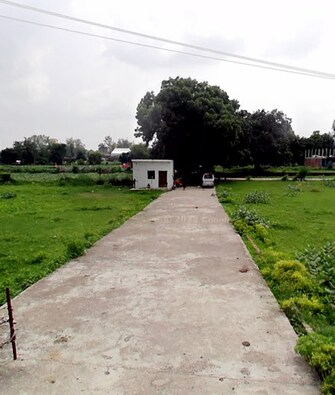 Plot For Resale in Lok Nagar Unnao  6531608