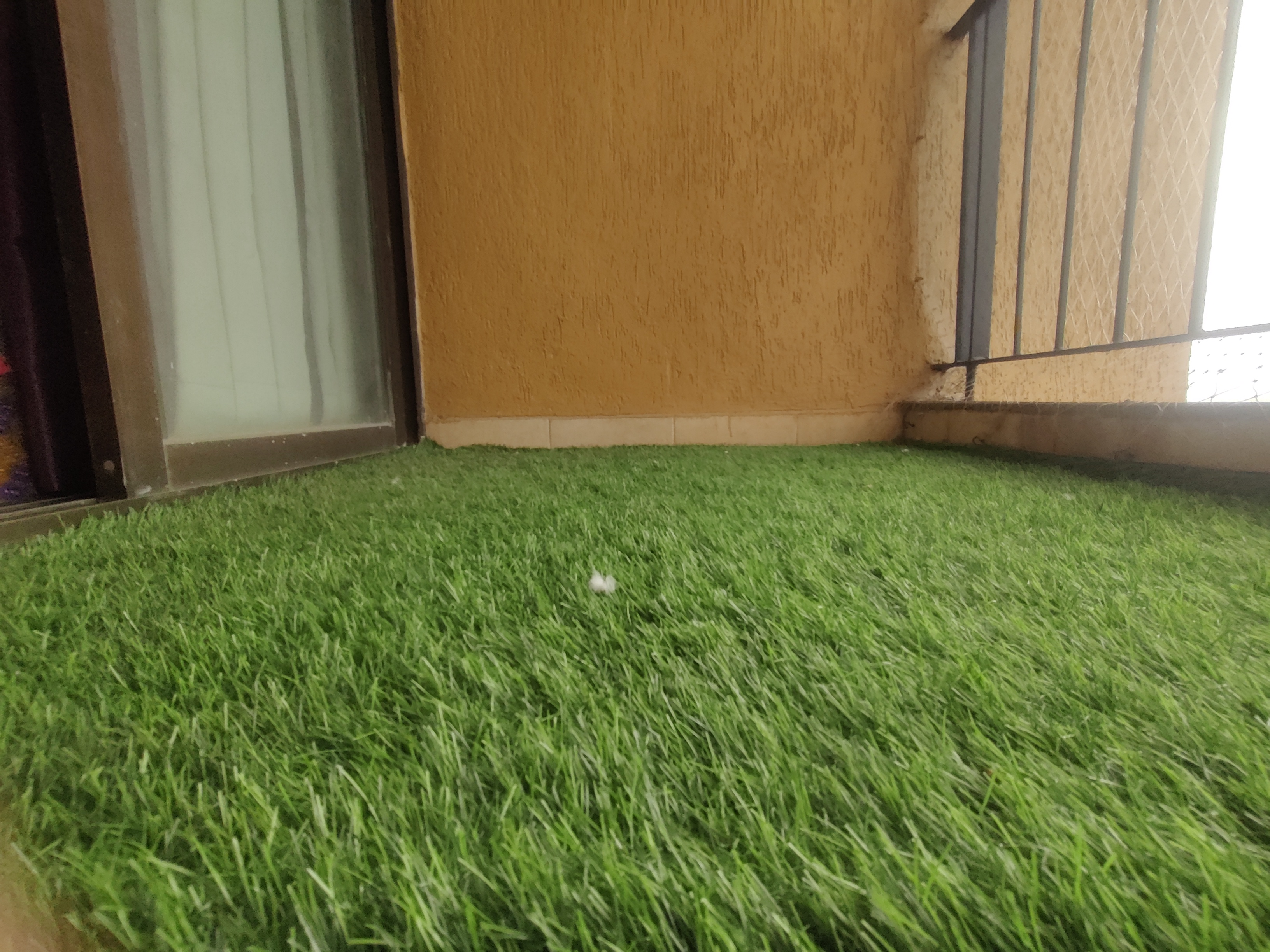 Rental 1.5 Bedroom 830 Sq.Ft. Apartment in Lodha Casa Ultima, Chirak