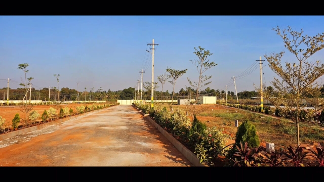  Plot For Resale in Nelamangala Bangalore 6532003