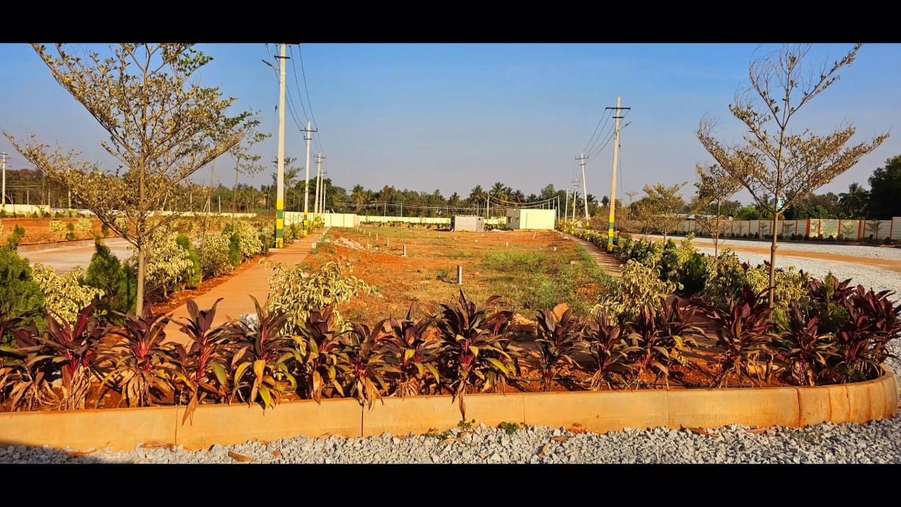 Plot For Resale in Dasanapura Bangalore  6532330