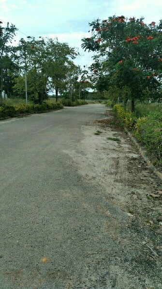 Plot For Resale in Chandapura Anekal Road Bangalore  6532360