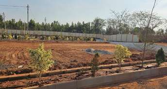  Plot For Resale in Om Sai Pearls Electronic City Phase I Bangalore 6532875