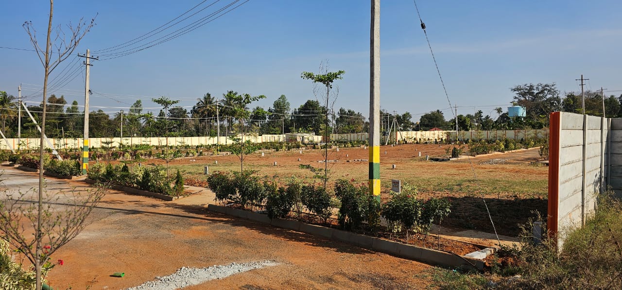 Plot For Resale in Nelamangala Bangalore  6532950