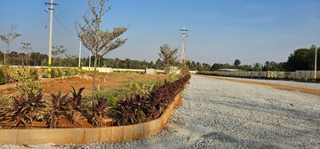 रेसिडेंशियल प्लॉट वर्ग फुट फॉर रीसेल इन बैंगलोर सेंट्रल जेल बैंगलोर  6533042