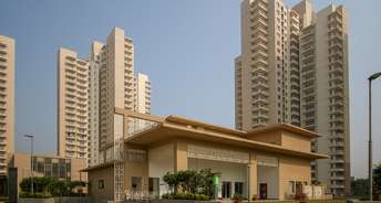 4 BHK Apartment For Resale in Alphacorp Gurgaon One 84 Sector 84 Gurgaon 6533228