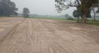  Plot For Resale in Riverview Enclave Phase II Gomti Nagar Lucknow 6530950